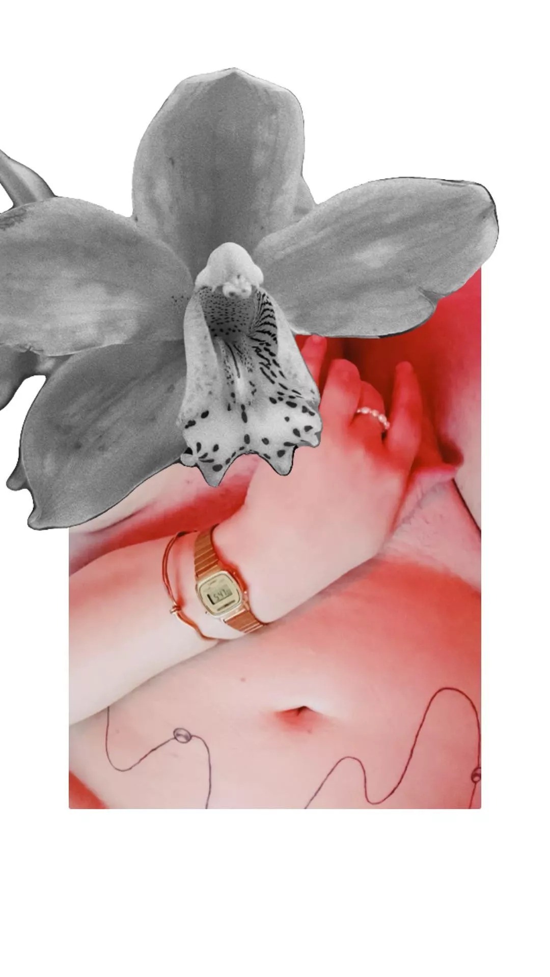 flora 1