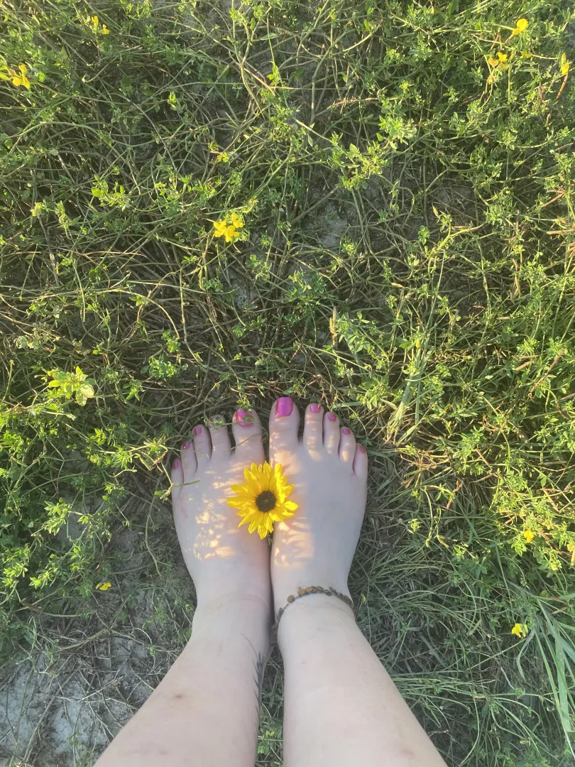 Flower power 🌻