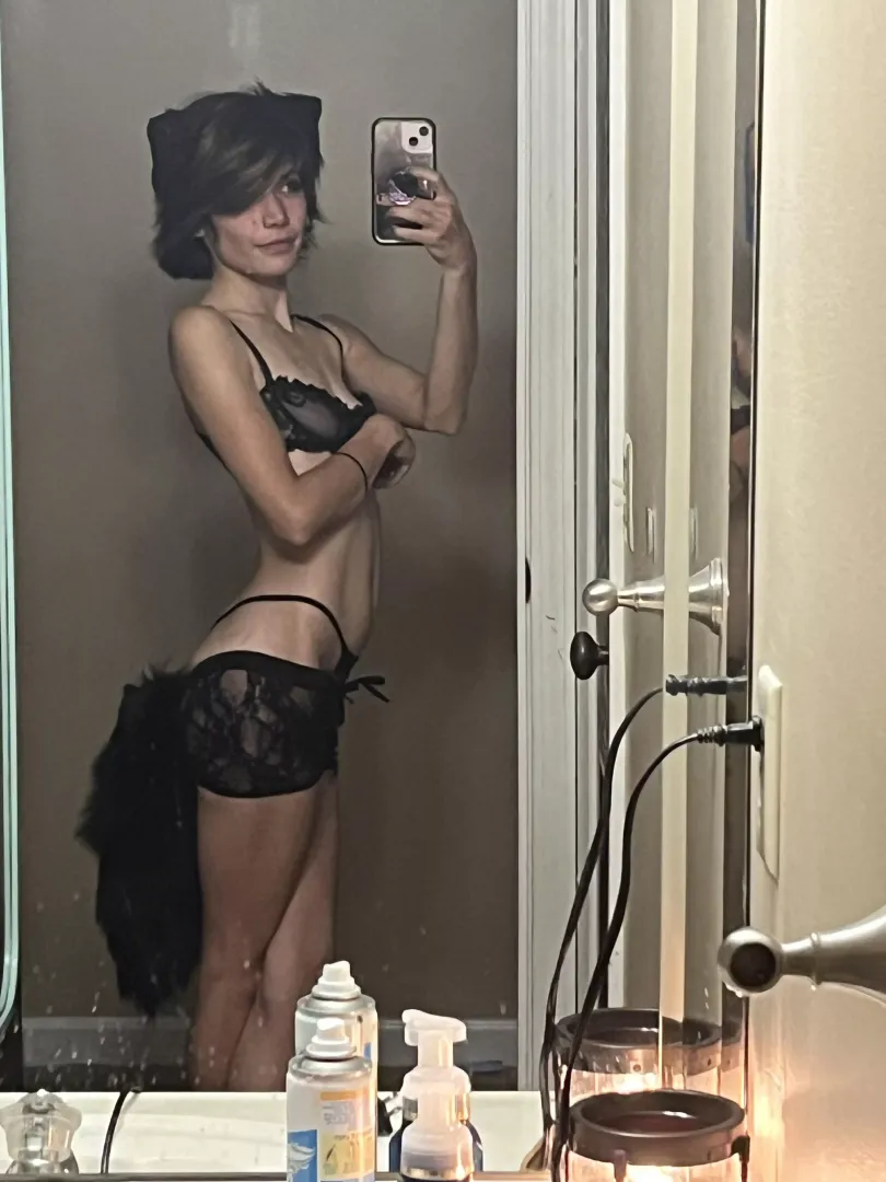 fluffy black tail kitty