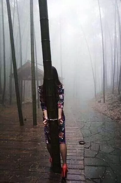 foggy park walk