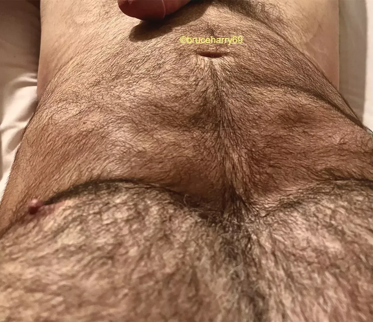 Follow my happy trail…