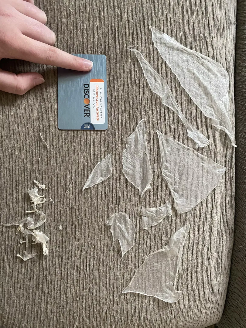 For My Fellow Peelers/Poppers