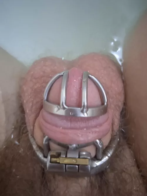 Foreskin pulled back for the first time. I wonder how long I can last.