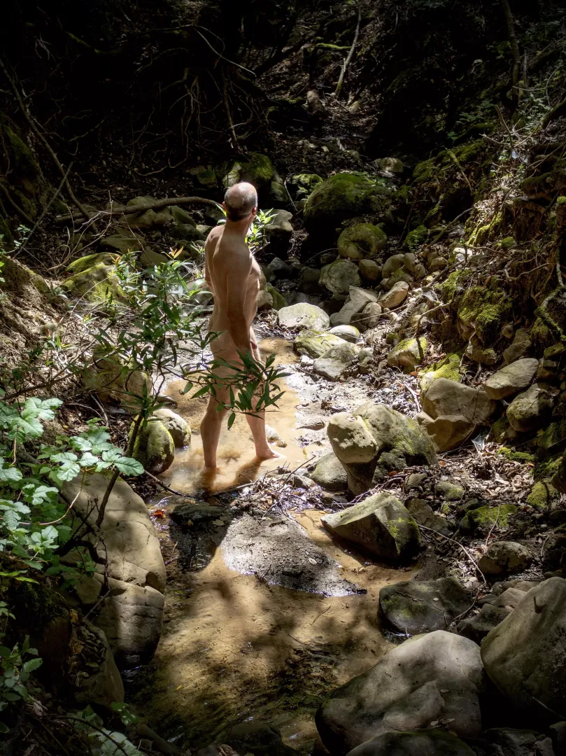 Forest Bathing 