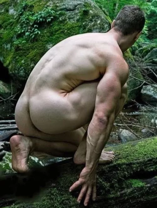 Forest butt