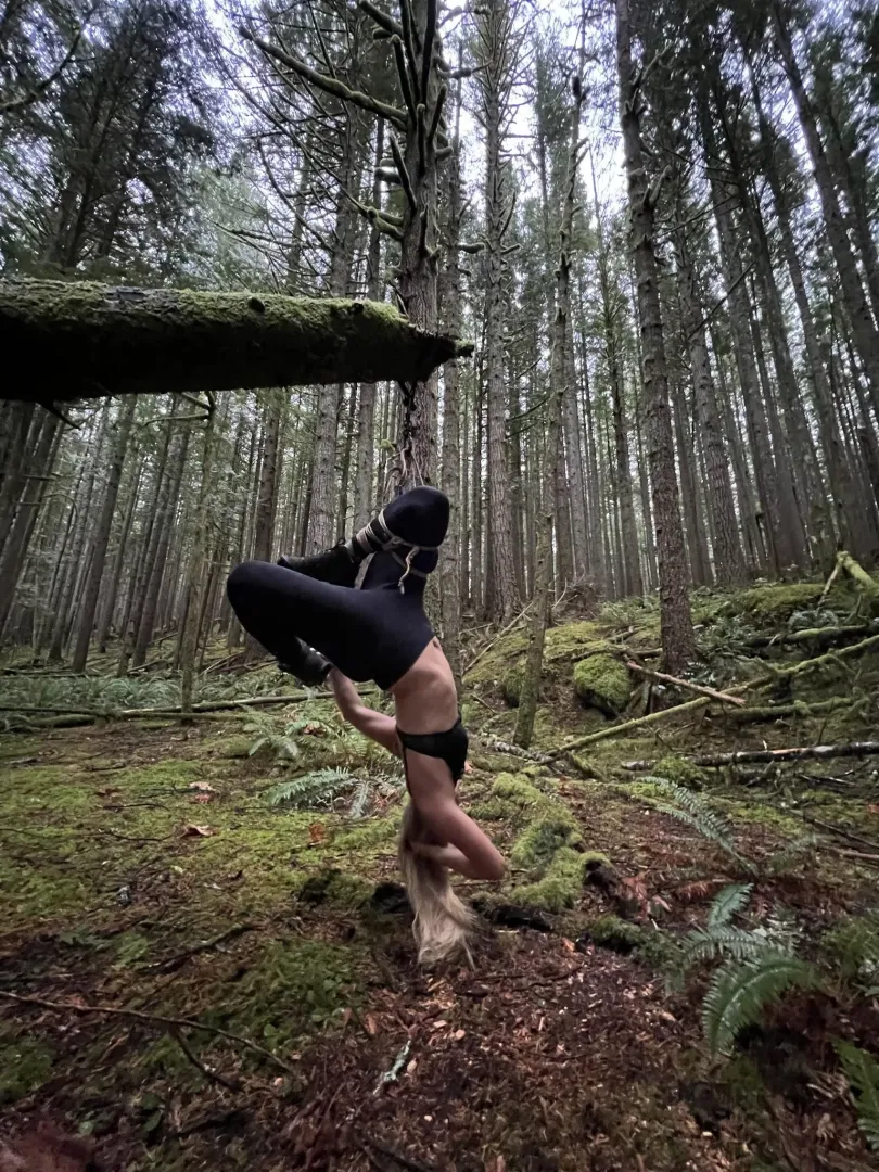 Forest futomomo in misty Pacific Northwest wilderness near Seattle
