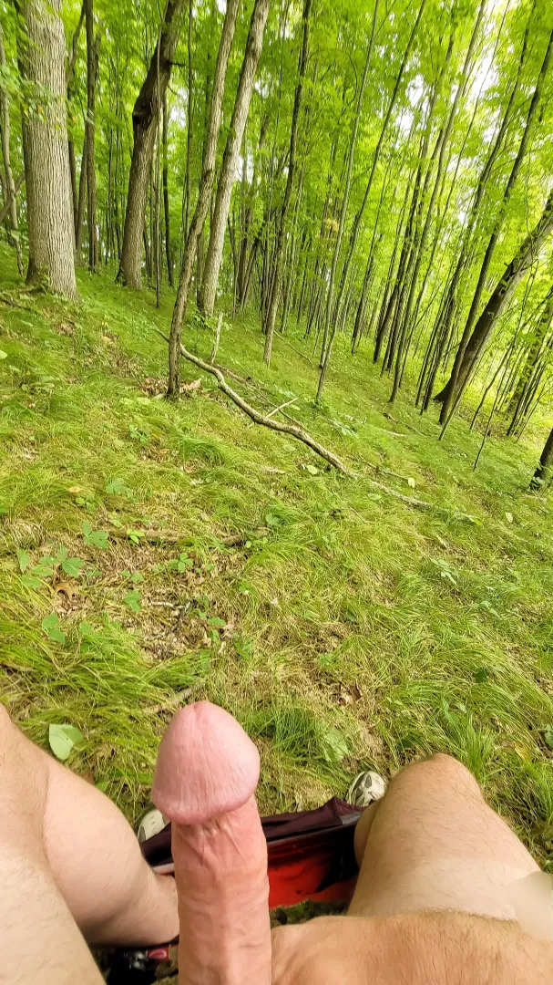 Found a mushroom on my hike