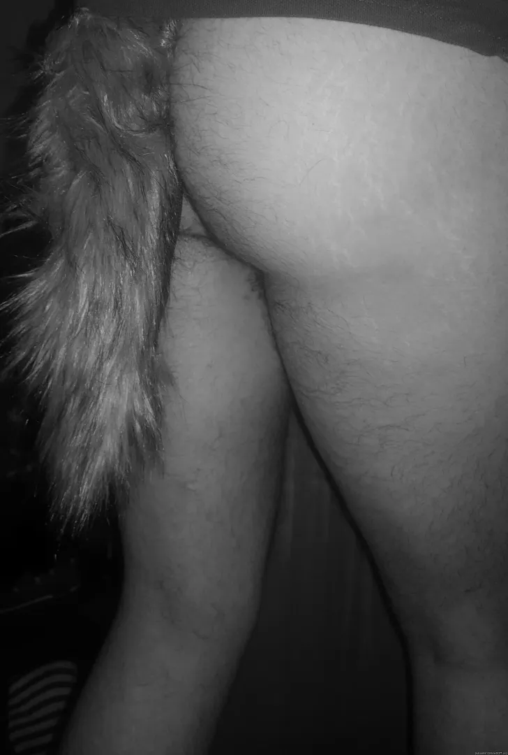 Fox boy needs a new tail