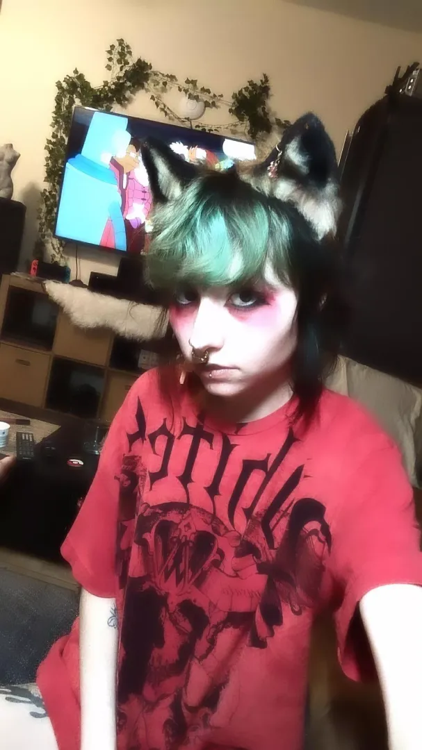 Fox or Cryptid?