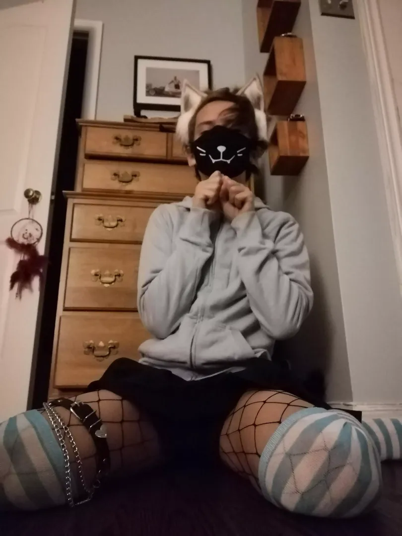 foxboy UwU