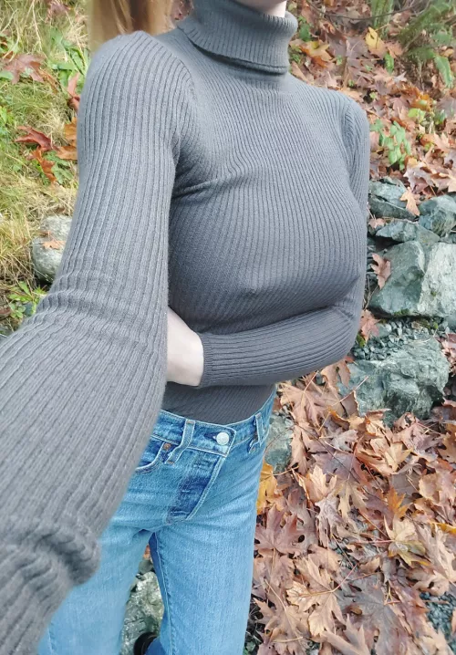 Free to feel the fuzz