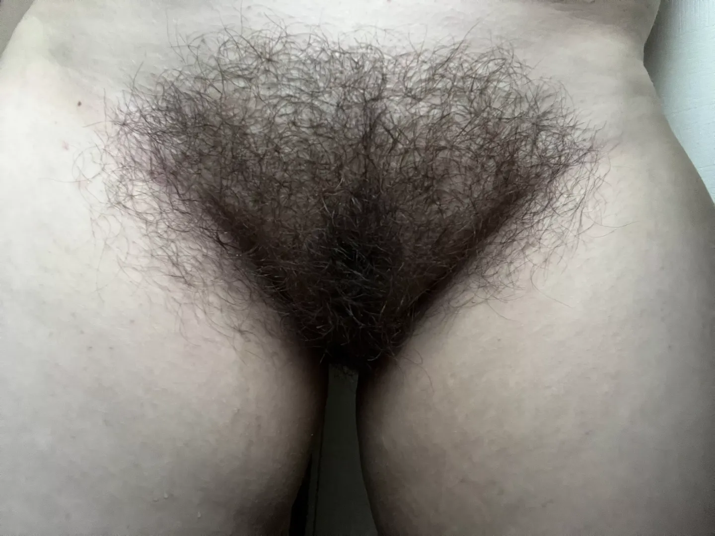 Fresh-from-the-shower bush ;P