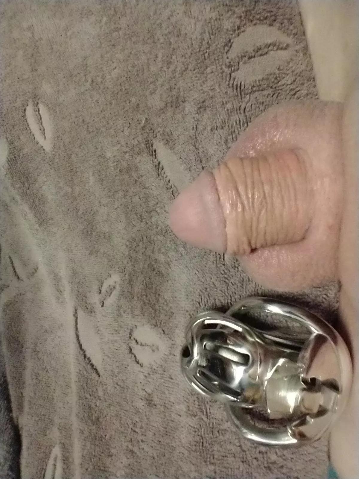 freshly chaved and cleaned, about to go back in. humiliate me?