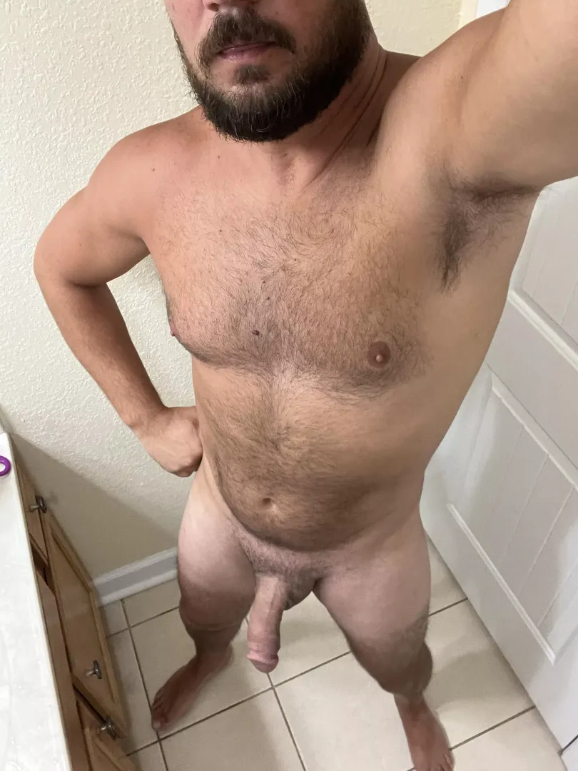 Freshly groomed beard and boner