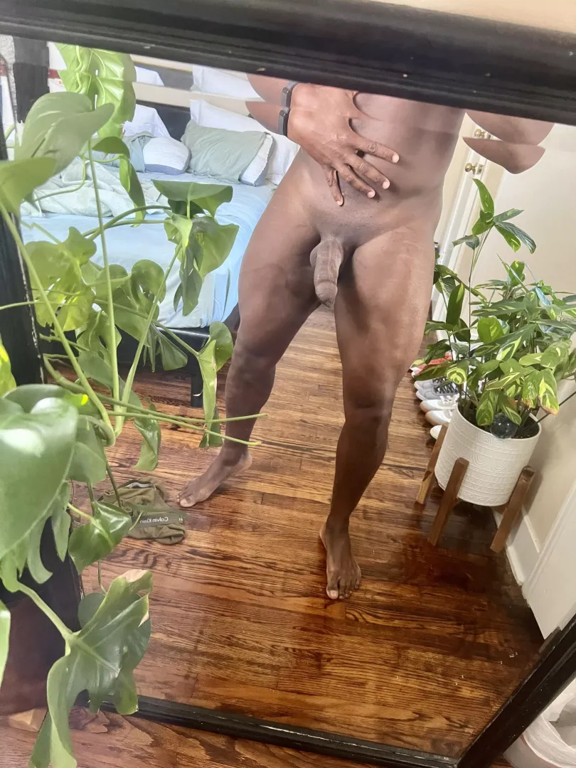 Freshly shaved
