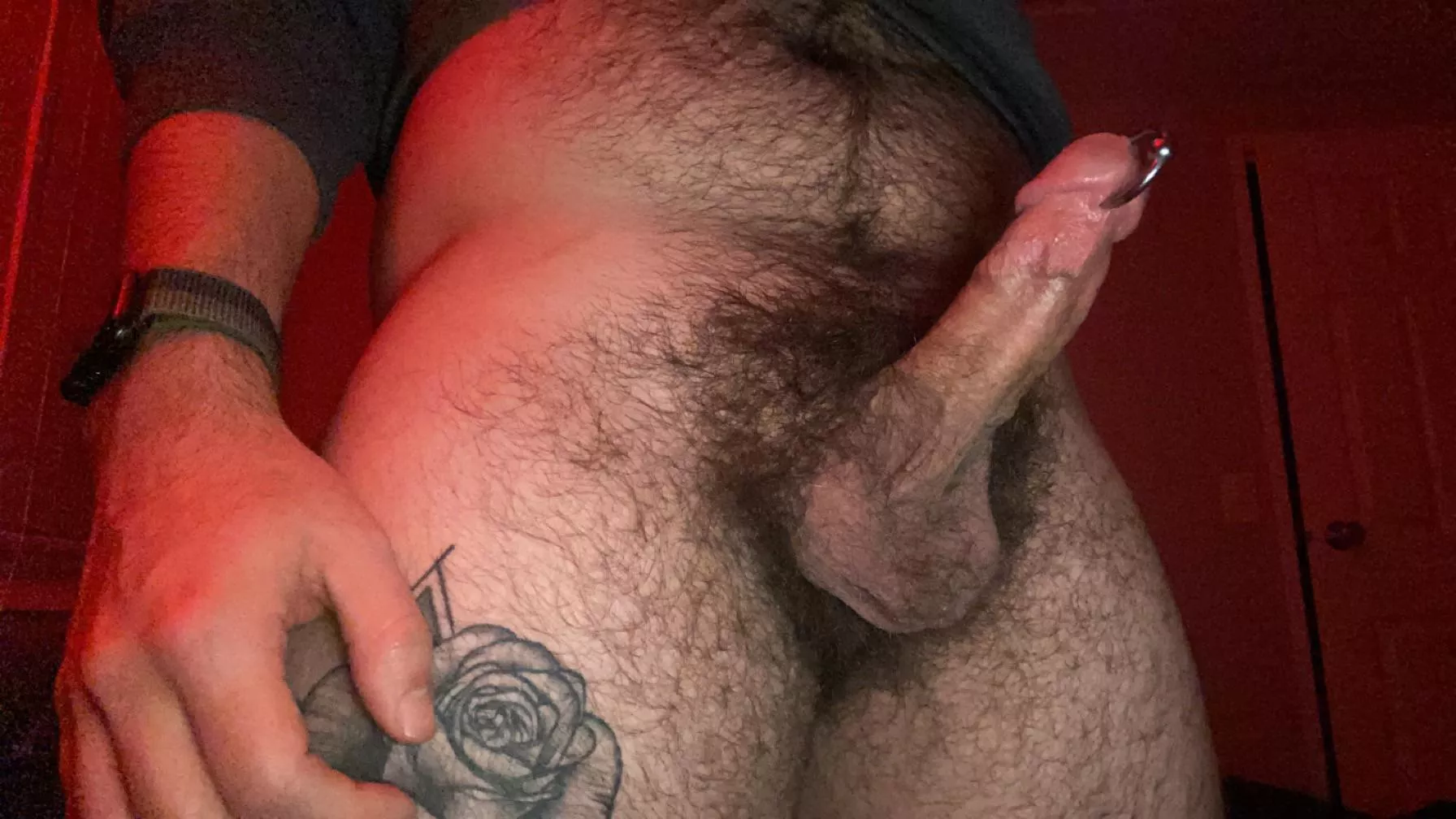 friday night bush