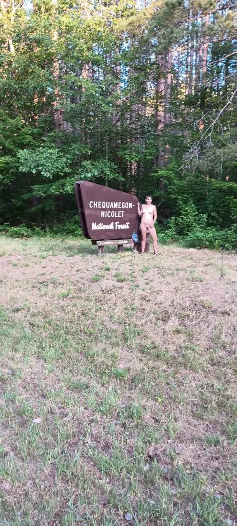 From my forest trip
