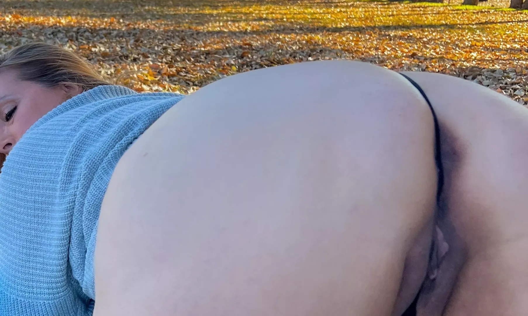(F)ront yard shenanigans, where should we start?