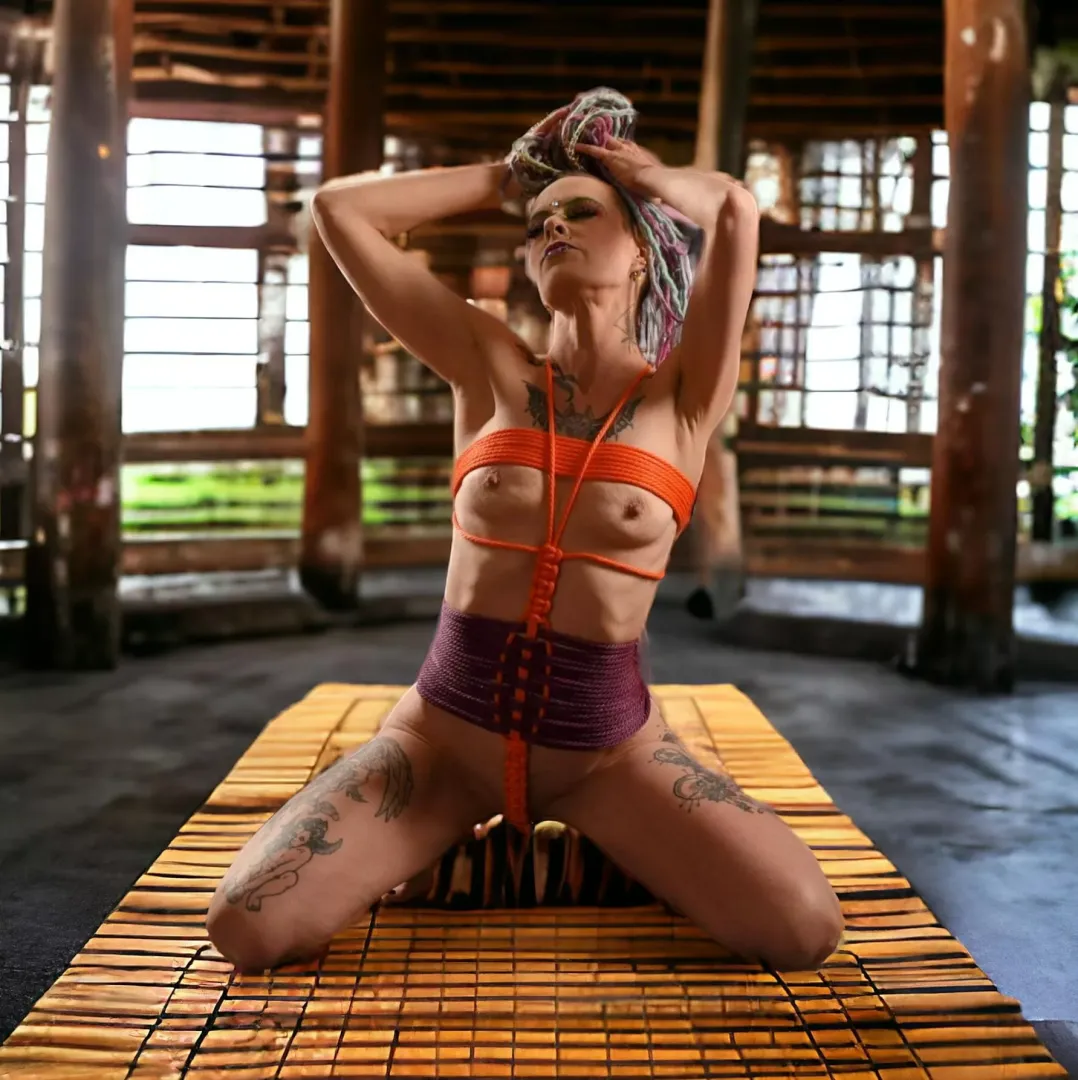Full body harness