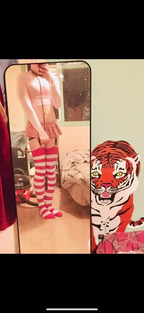 Full fem outfit