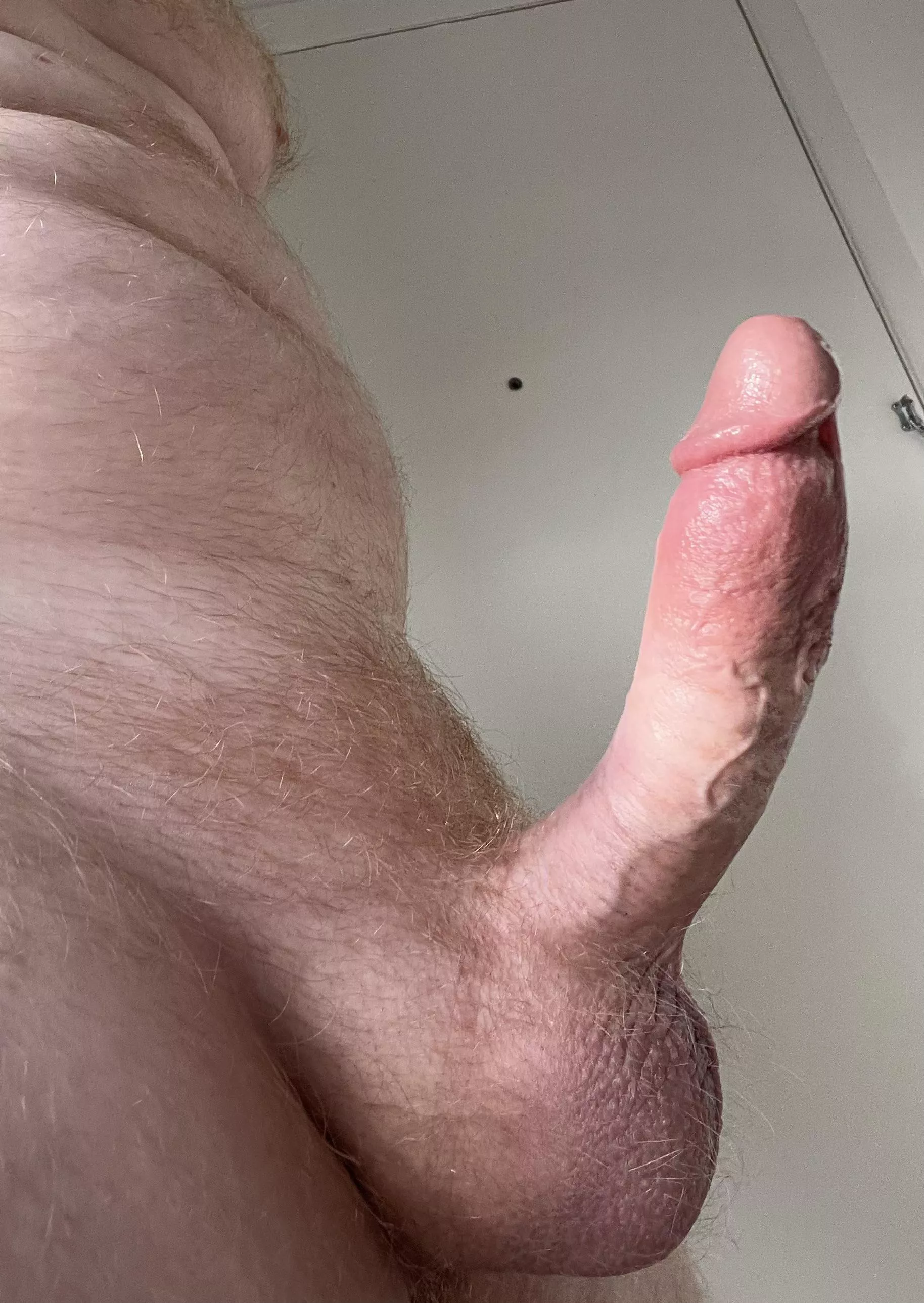 Fully Erect Friday
