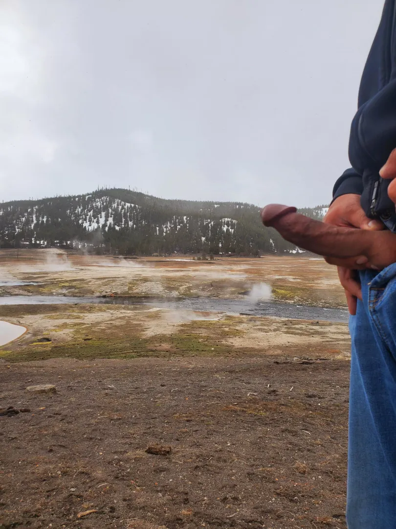 Fun in Yellowstone