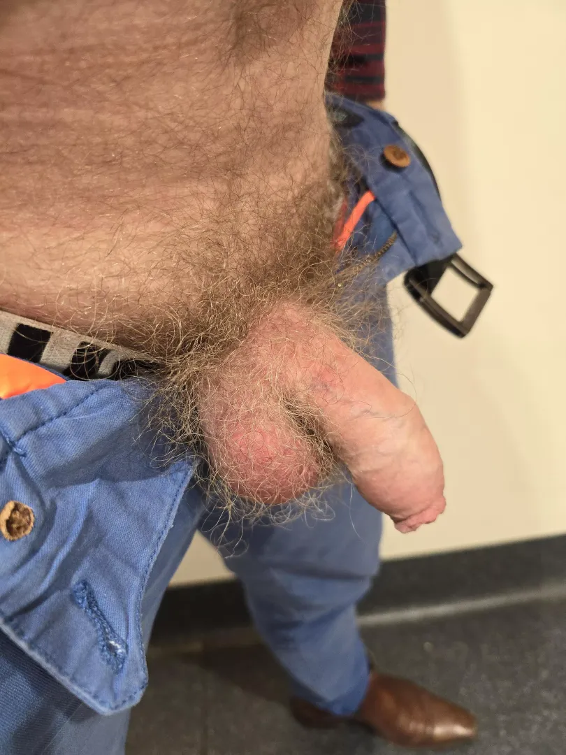Furrballs