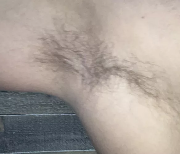 Furry enough?