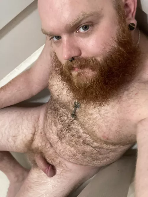 Furry ginger cub getting cleaned up after a long “HOT” day