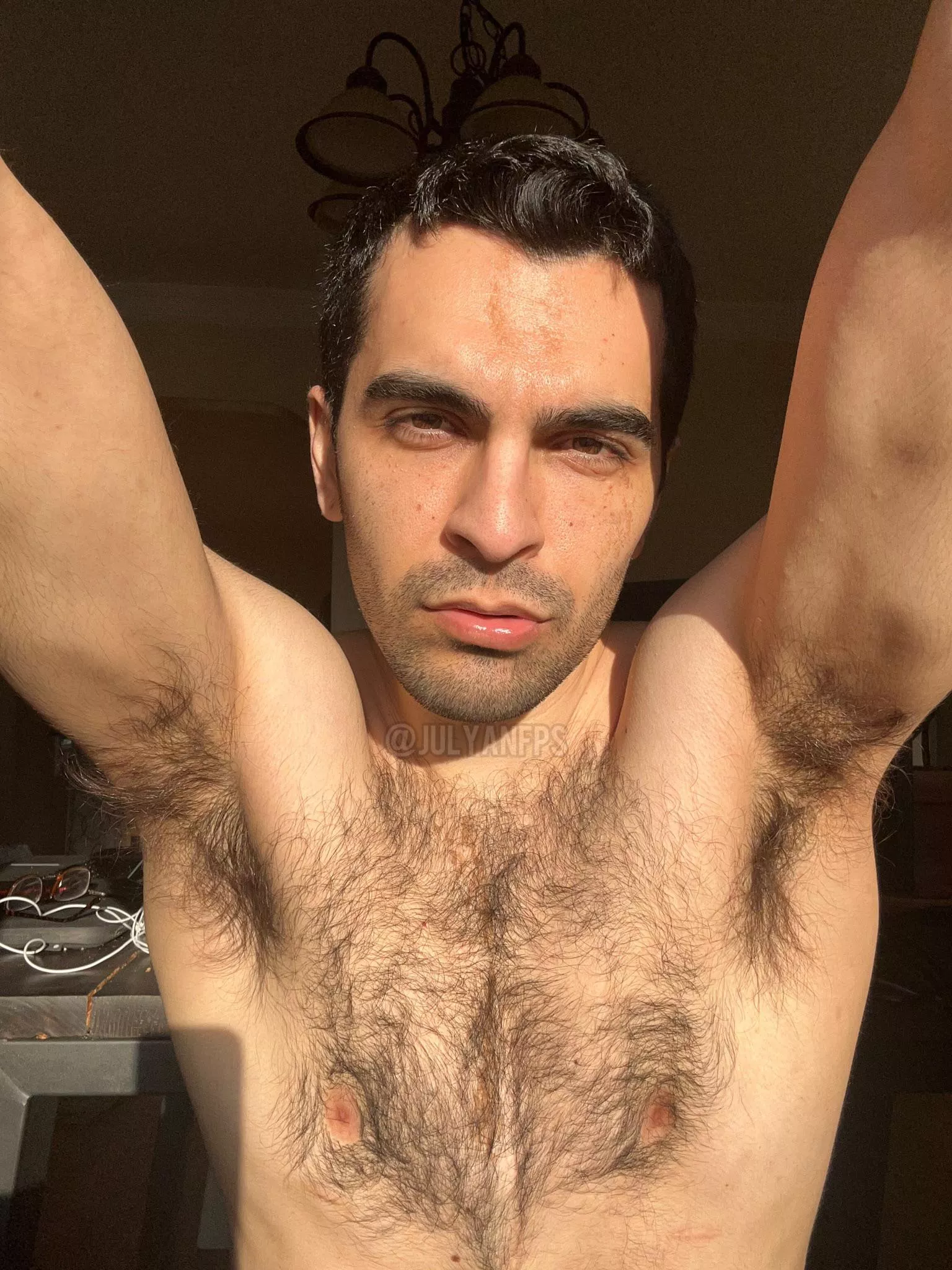 Furry perfection from pit to chest to pit again 😜