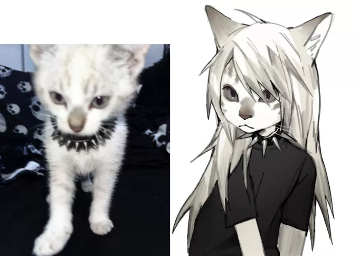 Fursona idea