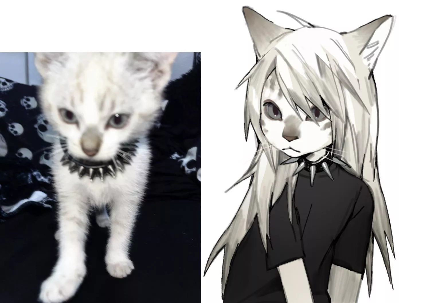 Fursona idea