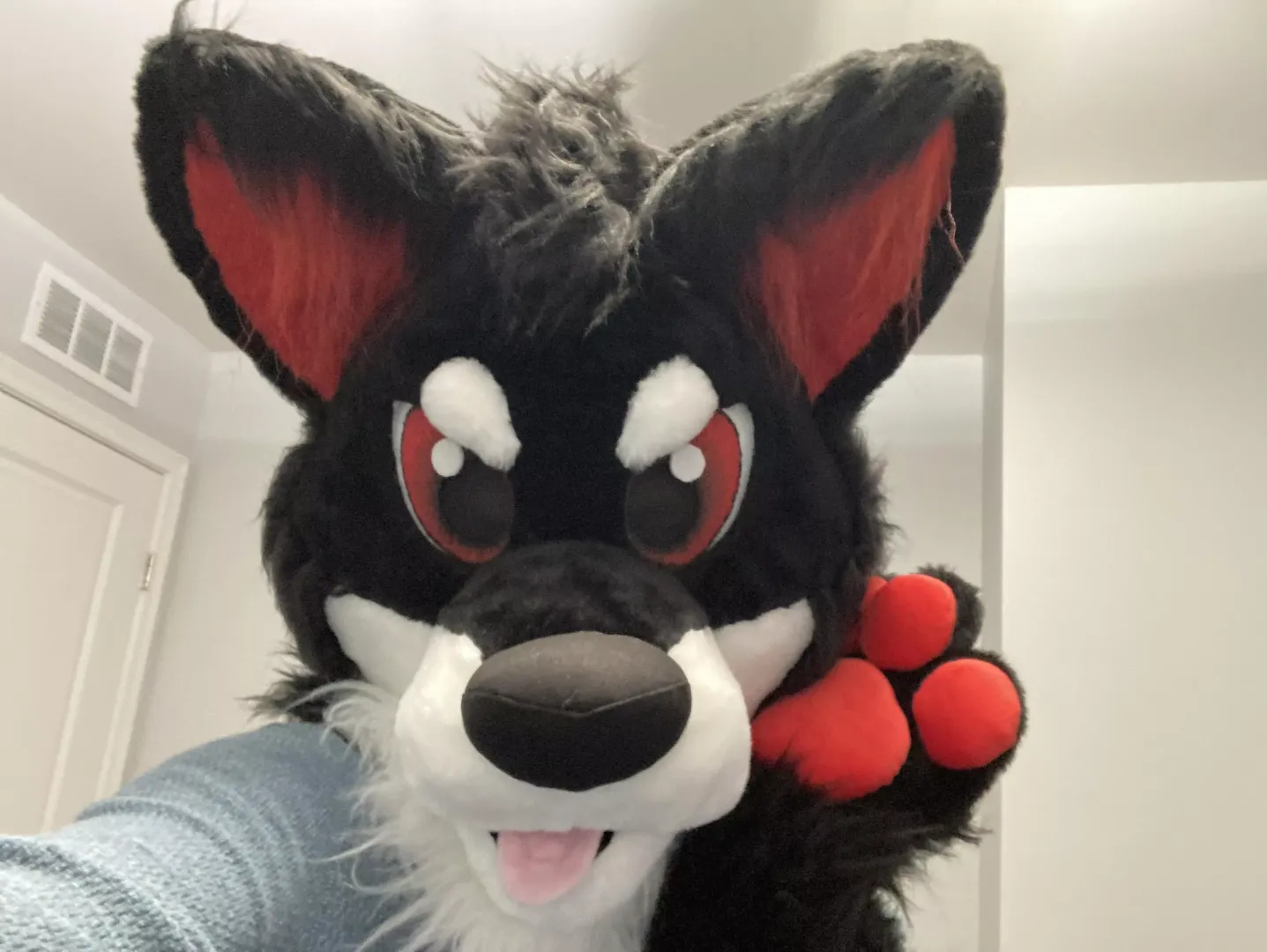 Fursuit Collars/accessories?