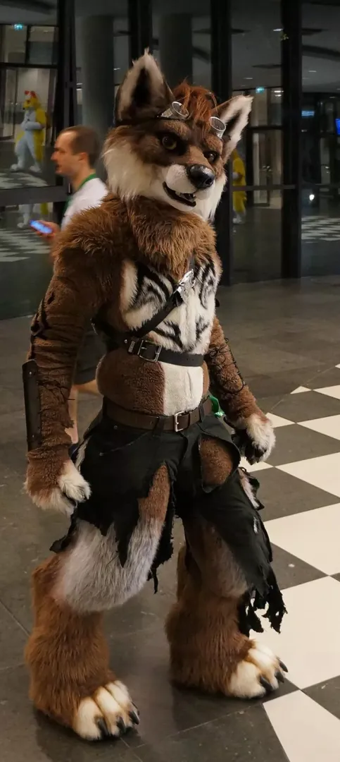 #FursuitFriday from 2015 - @randonwolfy on Twitter