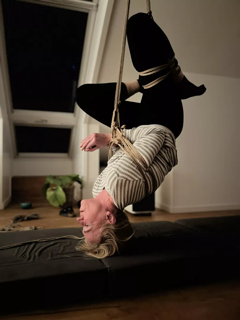 Futomomo suspension