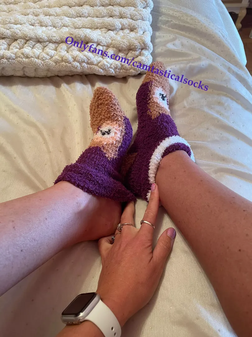 Fuzzy Socks! Female