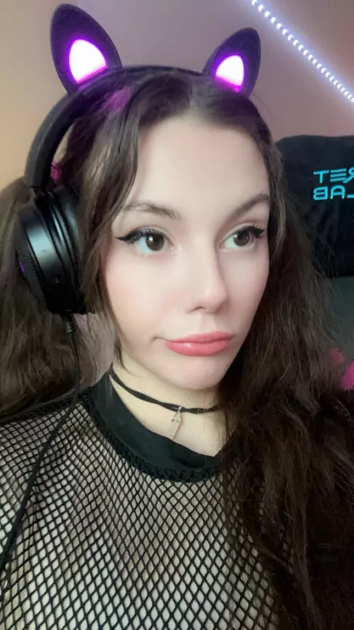 Gamer cat girls? :3 