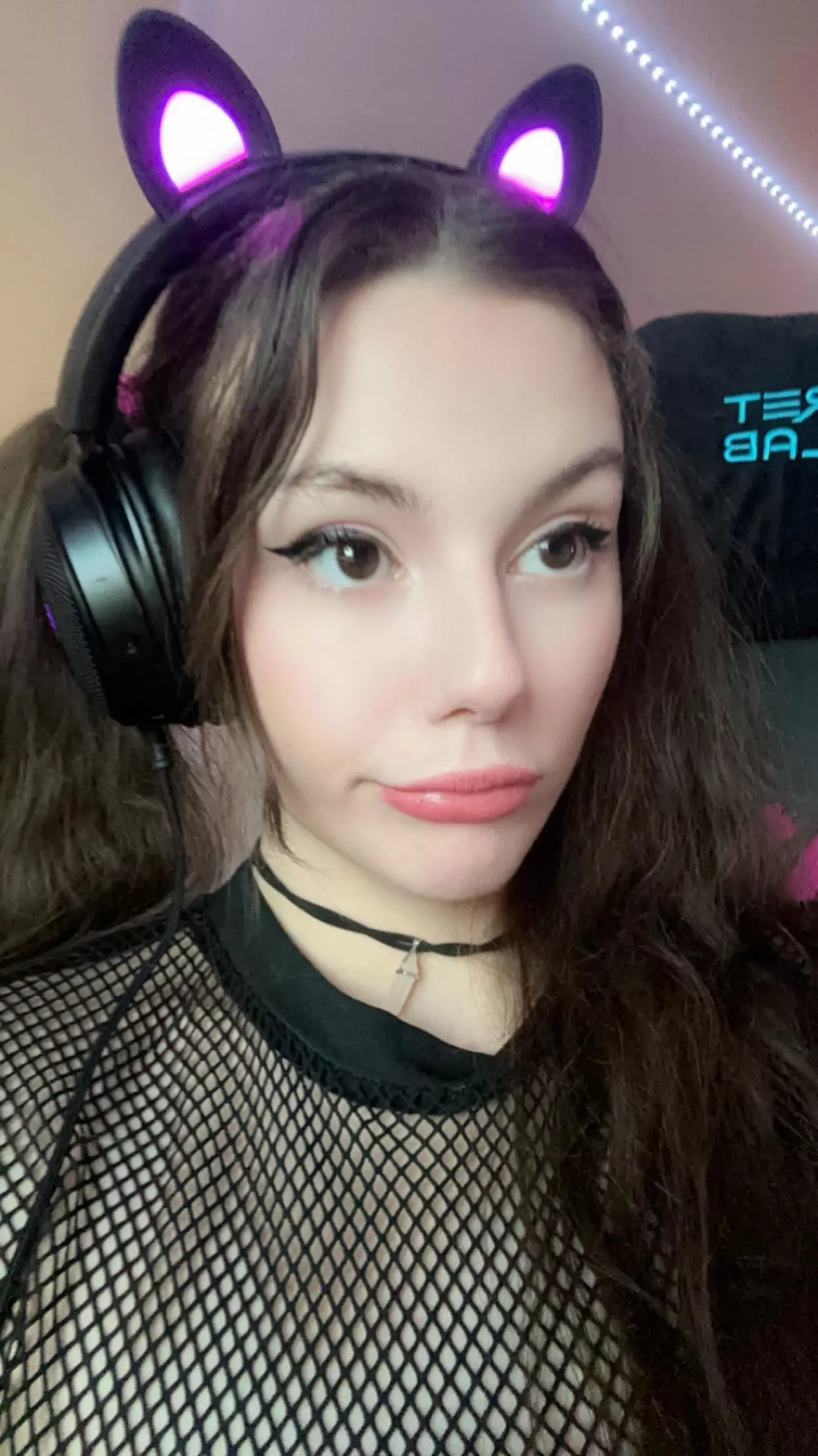Gamer cat girls? :3 