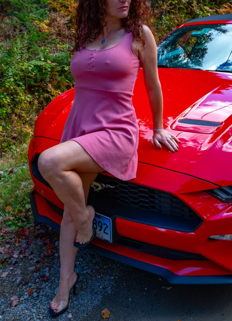 Gams and rods
