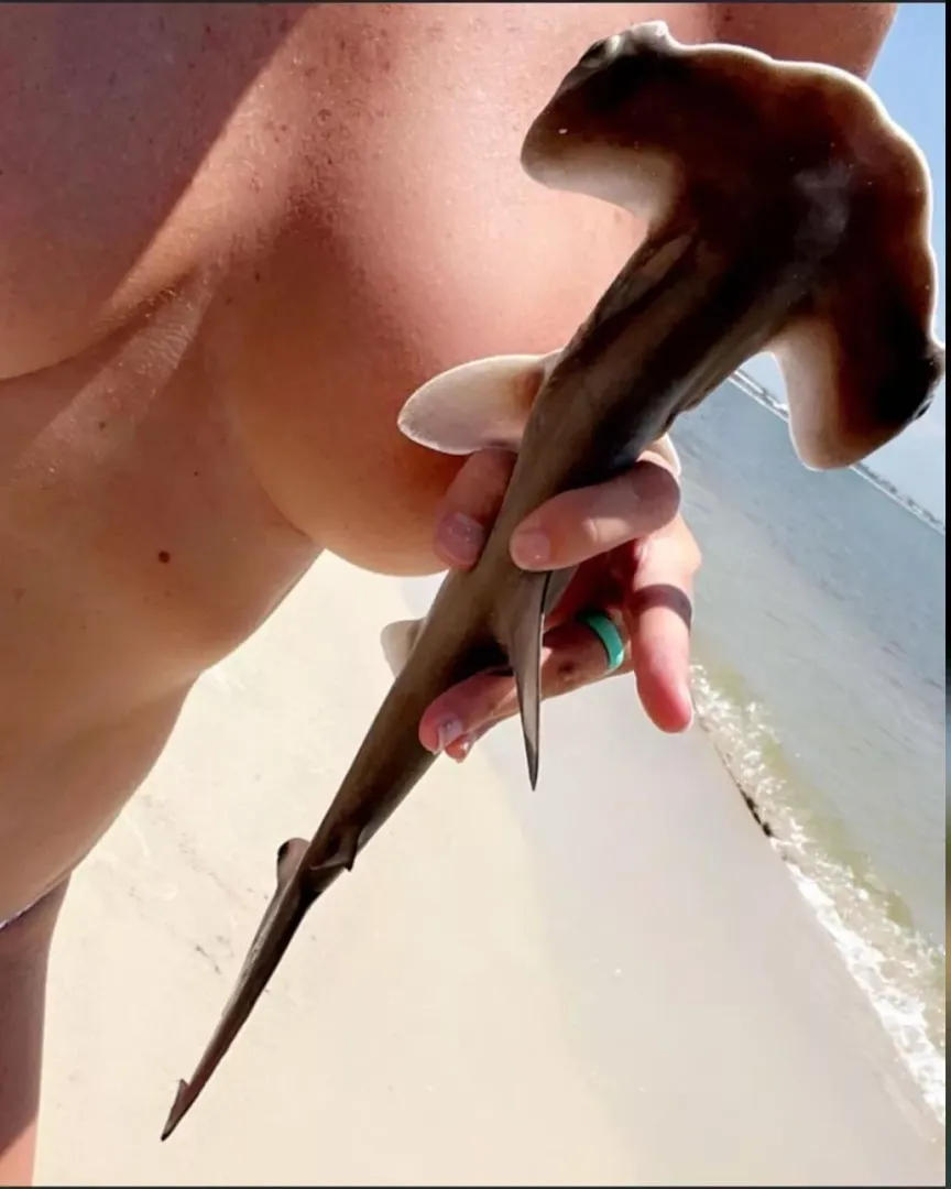 Get Hammered!