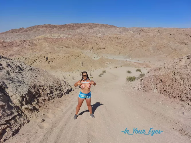 Getting ready for a super bloom in Anza Borrego after all this rain