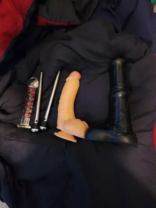 getting ready to play with my toys. need new ones!