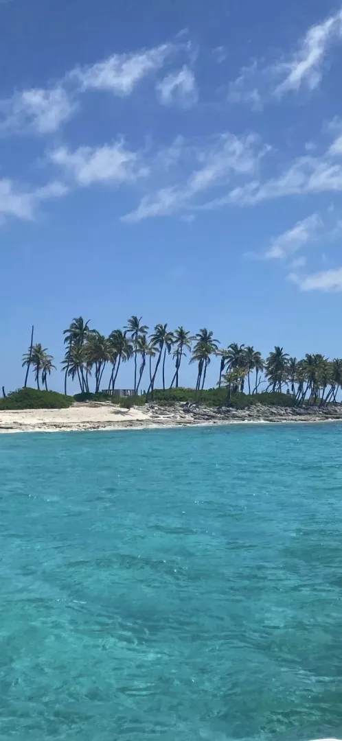 Gilligans Island, Bahamas 🤙🏻