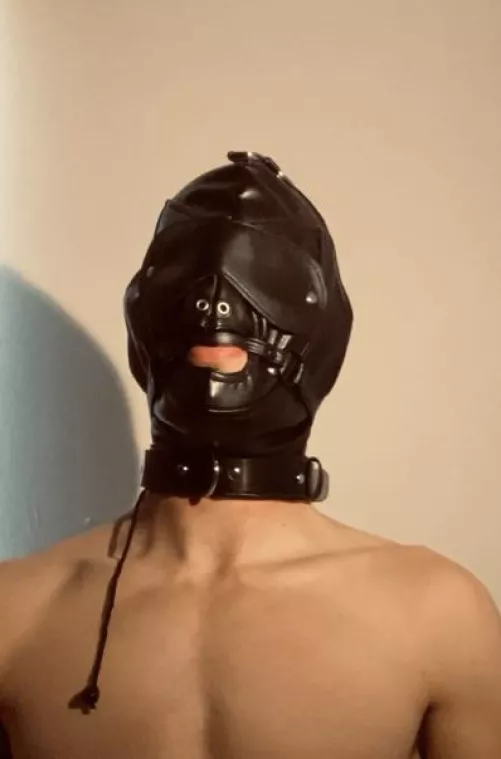 Gimp