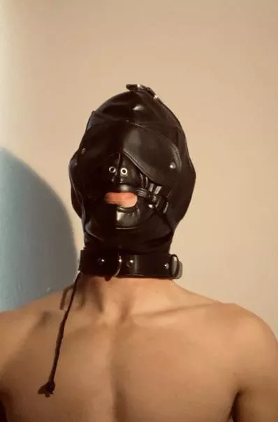 Gimp