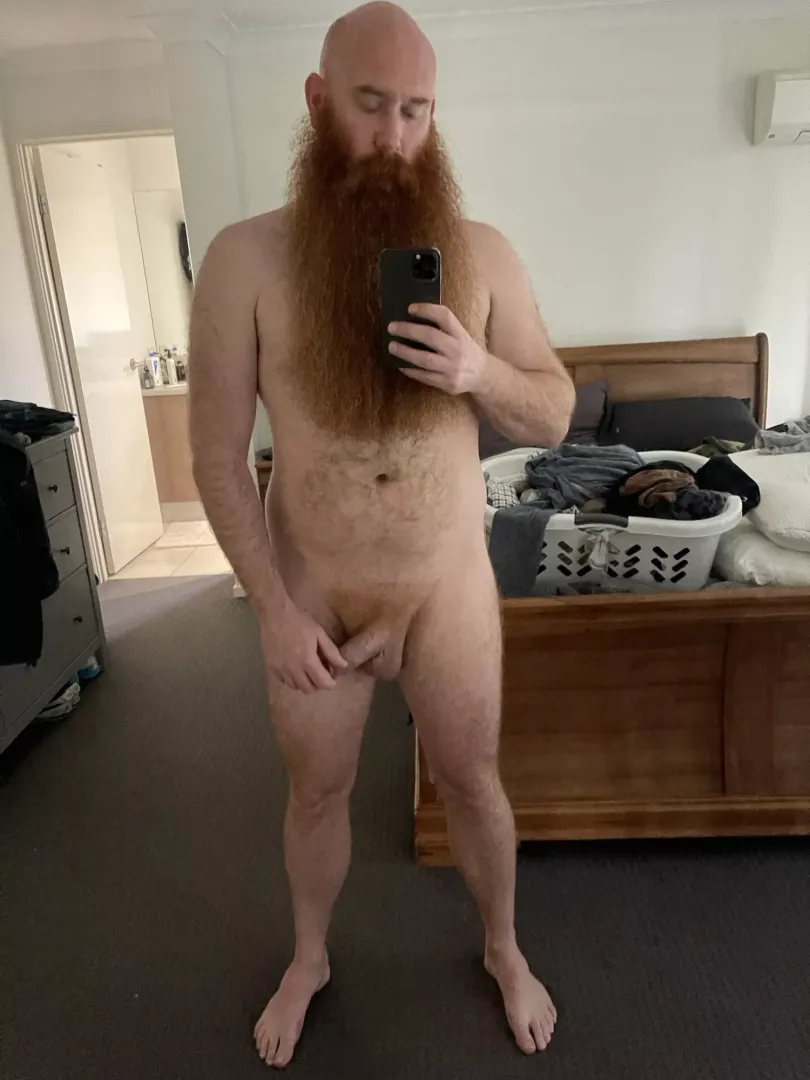 Ginger all over