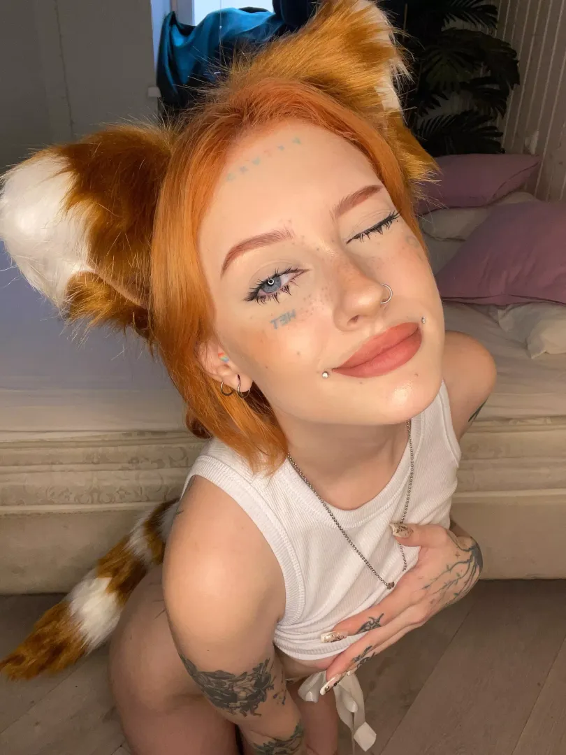 Ginger cats are very naughty, so be careful with this cat