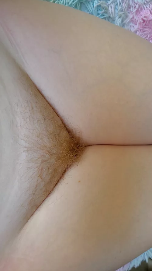Ginger fluff