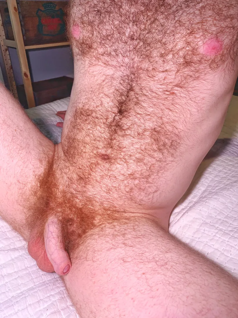 Ginger fur 🔥