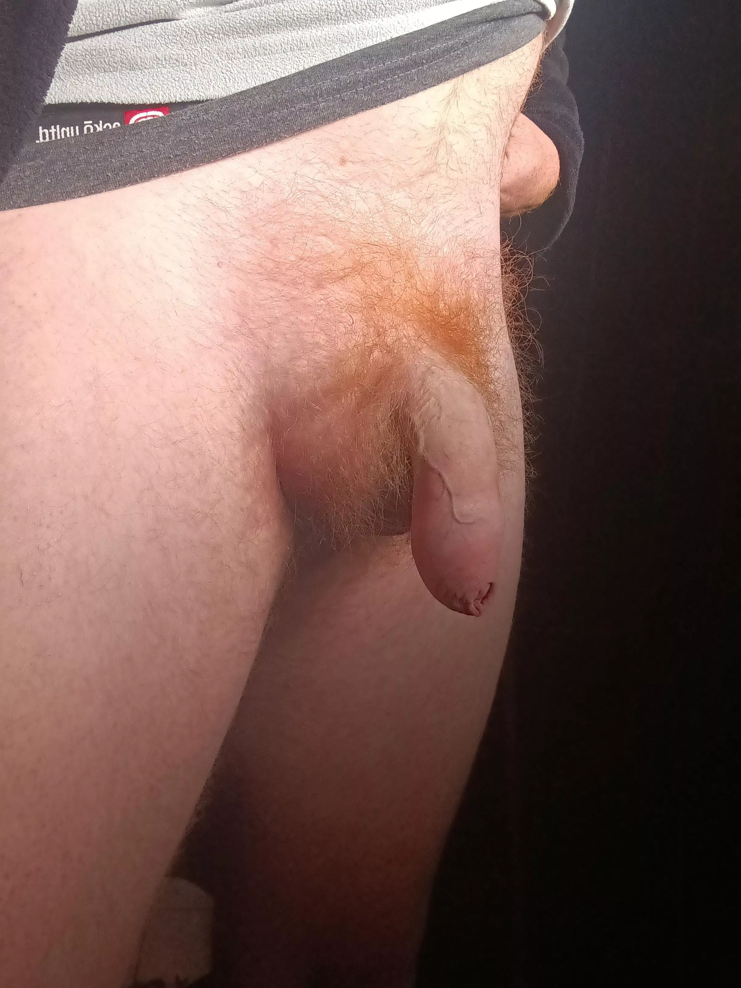 Ginger softy